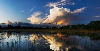 Zonsondergang in de Everglades
