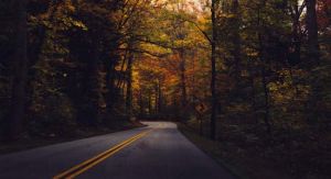 Een weg in de Great Smoky Mountains