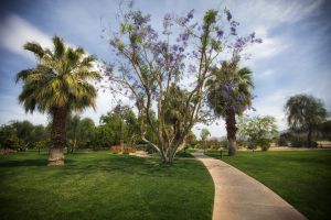 Palm Springs park