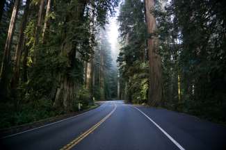 De weg door Redwood Forest naar Bakersfield.