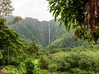 De Hiilawe Falls komen uit in Waipo Valley aan de Kohala Coast aan de noordoostkant van Big Island.