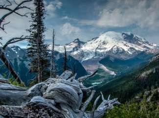 In het Mount Rainier National Park bevindt zich de actieve vulkaan Mount Rainier.