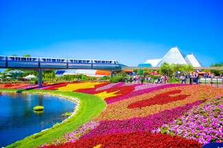 Orlando is een ware trekpleister vanwege de vele attractieparken zoals Disney, Universal en Seaworld.