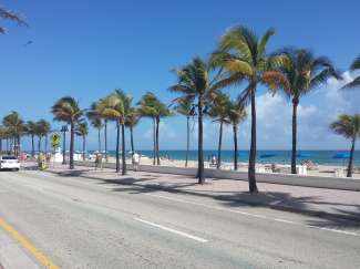 Der Ocean Drive ist die bekannteste Straße von Miami, direkt am Strand.