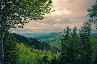 De Great Smoky Mountains liggen op de grens tussen North Carolina en Tennessee.