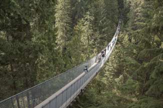 In het noorden van Vancouver vindt u de Capilano Suspension Bridge waar u 135 meter boven de Capilano rivier loopt.