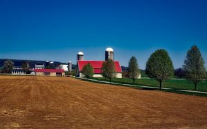 Landbouw in Pennsylvania