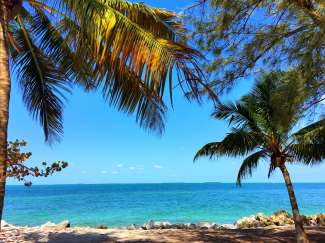 De Florida Keys kent tal van relaxte paradijselijke strandjes en is een geliefde watersportbestemming.