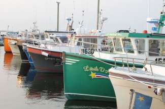 Visserij speelt een belangrijke rol in New Brunswick, net als in de andere maritieme provincies.