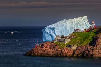 Als het seizoen goed is, zijn Newfoundland en Labrador geweldige plekken om ijsbergen voorbij te zien komen.