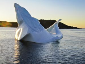 IJsbergen en walvissen