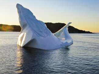 IJsbergen en walvissen zijn bijzonder gemakkelijk te zien voor de kust van Newfoundland.
